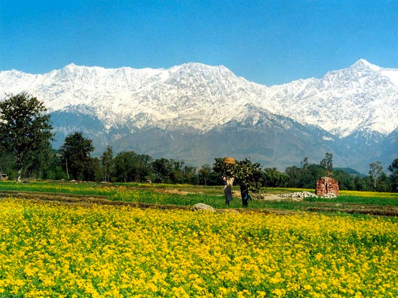 Himachal Pradesh Tour Package