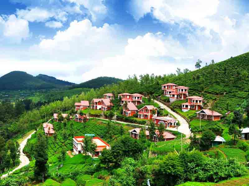 Mysore - Ooty Tour Package